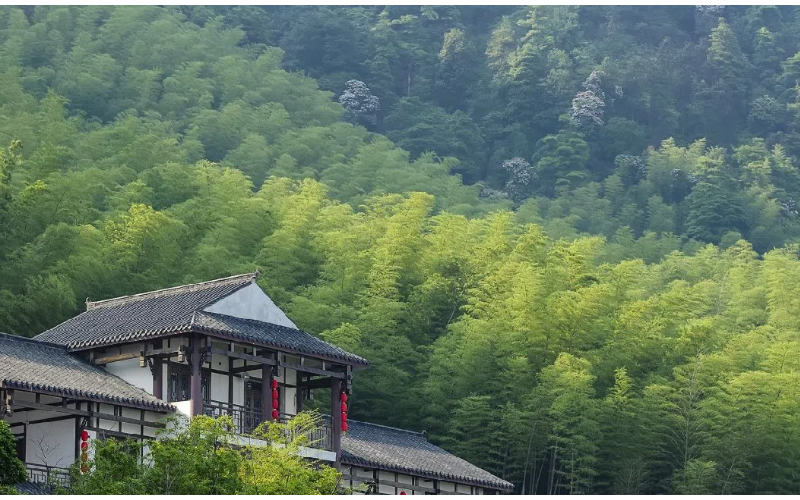 石油限价半年效果显著，油价持续下降，俄石油收入减半