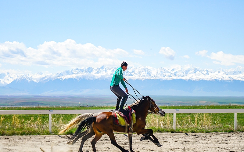永清远村马术小镇名家耐力赛开赛 数十家俱乐部参赛